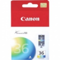 CANCLI36